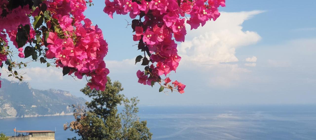 Casa Grazia Amalfi